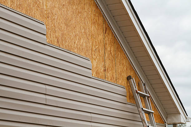 Professional Siding Repair technician working in Washington, WA